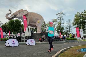 BIB: 
                            <button type="button" onclick="openModal(26528822)" class="btn btn-primary btn-sm float-right btn-popup" data-toggle="modal" data-target=".modal-high-quality">
                        <i class="fas fa-shopping-cart"></i> Add to Cart
                    </button>
                                            <button type="button" onclick="isThisMe(26528822, true)" class="btn btn-success btn-sm float-right btn-popup btn-isme hidden" data-toggle="tooltip" data-placement="bottom" title="นี่คือรูปของคุณใช่ไหม คลิกที่นี่เพื่อเอาเข้าอัลบั้ม">
                        <i class="fas fa-plus"></i> Add to album
                    </button>
                    <button type="button" onclick="isThisMe(26528822, false)" class="btn btn-warning btn-sm float-right btn-popup btn-isnotme hidden">
                        <i class="fas fa-ban"></i> Remove from album
                    </button>